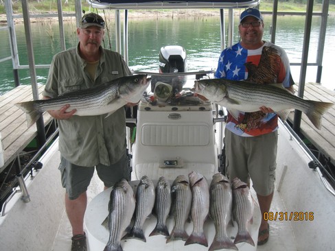 Nice Striped Bass